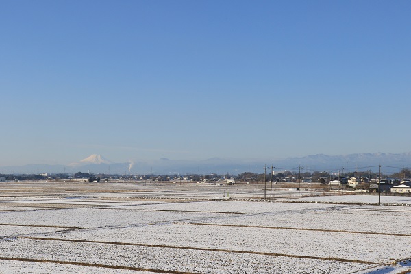 降雪の翌々日.jpg